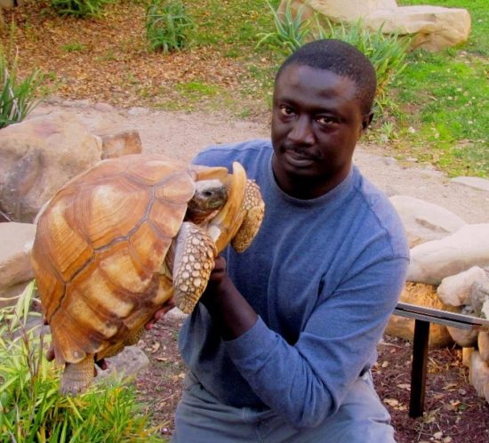 Tomas Diagne, Director