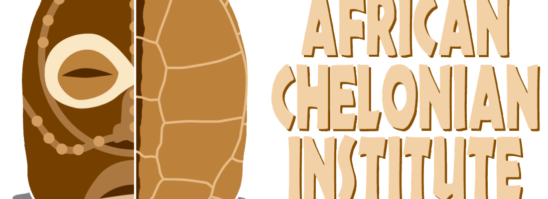 ACI Logo