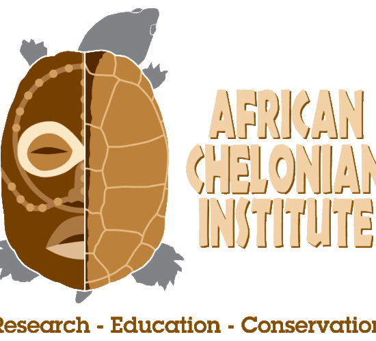 ACI Logo