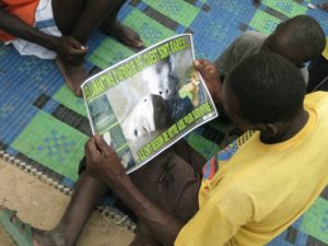 African manatee posters created by our project inform local people and promote conservation.