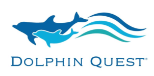 Dolphin Quest